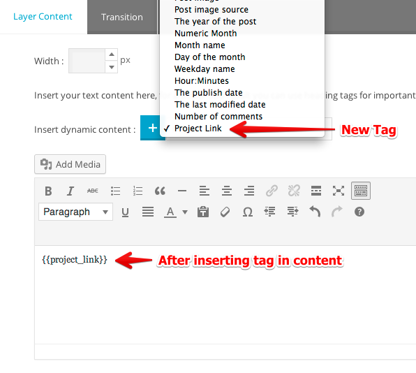 Master Slider - Adding new template tag for post slider